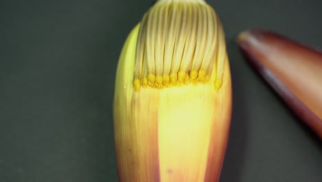 Nährstoffreiche-Bananenblüte-Oder-Wegerichblüte-Oder-Mokka-Hat-Viele-Ernährungsphysiologische-Vorteile