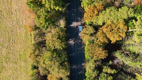 Birds-eye-view-of-a-country-road-with-colourful-Autumn-trees-non-each-side