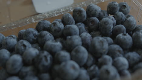 Close-Up-Pan-Right-of-Fresh-Blueberries-in-a-Container