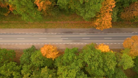 Luftaufnahme-über-Der-Straße-Im-Wald-Im-Herbst-Mit-Autos