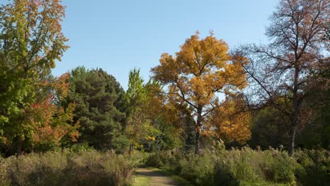 Menschen-In-Der-Ferne-Bei-Einem-Spaziergang-In-Einem-Park-In-Boise,-Idaho-Mit-Herbstfarben