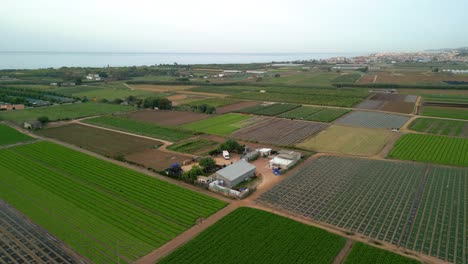 Vistas-Aéreas-Del-Campo-Cultivado-Con-El-Mar-Mediterráneo-En-El-Fondo-Día-Nublado