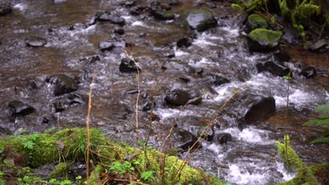 large-river-flowing-through-rocks