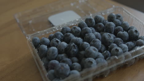 Wide-Pan-Right-of-Fresh-Blueberries-in-a-Container
