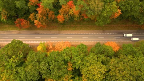 Luftaufnahme-über-Der-Straße-Im-Wald-Im-Herbst-Mit-Autos