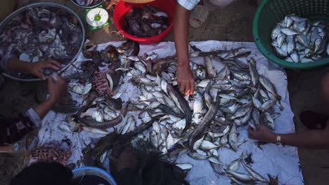 Blick-Von-Oben-Nach-Unten-Auf-Fischer-Und-Frauen,-Die-Am-Frühen-Morgen-Den-Fang-Von-Einem-Fischerboot-An-Einem-Strand-In-Vietnam-Sortieren