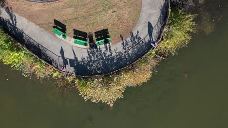 A-top-down-shot-directly-above-a-park,-as-people-fish-in-a-green-pond-on-a-sunny-day-casting-their-shadows