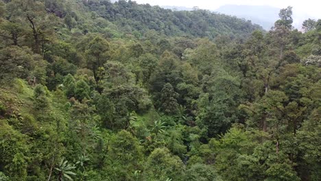 Drohnenvideo-Eines-Unberührten-Dschungels-Von-Sumatra---Indonesien