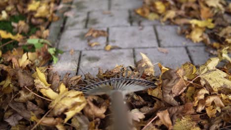 POV-shot-of-raking-leaves-that-have-fallen-of-a-tree-from-the-side-walk-in-fall