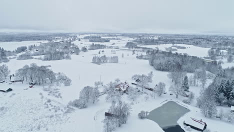 Frozen-white-winter-landscape-in-Latvia,-Europe,-drone-view