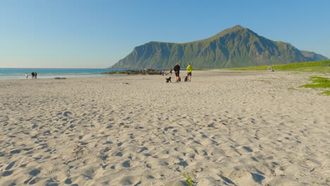 People-walking-their-dogs-on-a-scenic-beach-on-Lofoten-Island-in-Northern-Norway