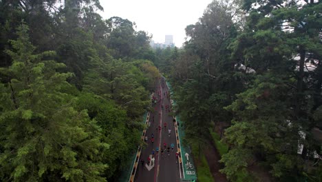 Luftdrohnenaufnahme-Der-Läufer-Des-Marathons-In-Mexiko-Stadt,-Während-Sie-Bei-Sonnenaufgang-Durch-Den-Chapultepec-Wald-Laufen
