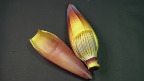 Nutrient-rich-banana-flower-or-plantain-flower-or-mocha-has-many-nutritional-benefits