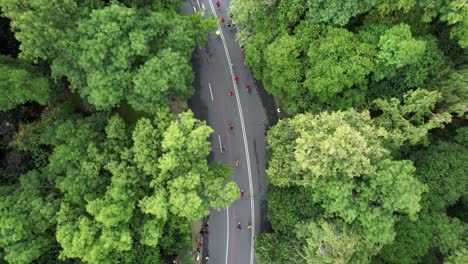 Luftdrohnenaufnahme-Der-Läufer-Des-Mexico-City-Marathons,-Während-Sie-Durch-Den-Chapultepec-Wald-Laufen