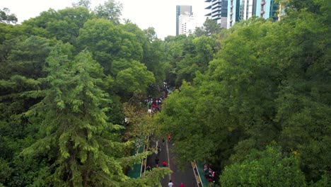 Drohnenaufnahme-Der-Läufer-Des-Mexico-City-Marathons-Beim-Durchqueren-Der-Stadt