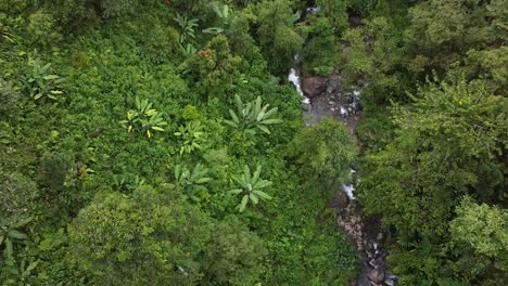 Drohnenvideo-Eines-Unberührten-Dschungels-Von-Sumatra---Indonesien