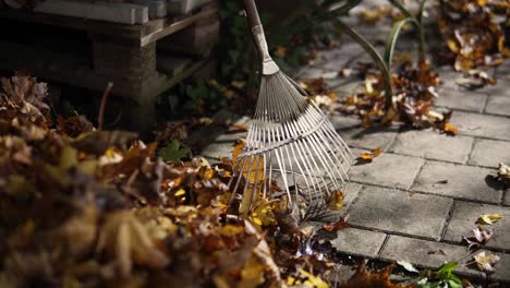 Rake-to-clean-up-leaves-from-the-trees-is-leaning-against-a-wall