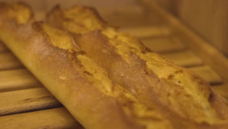 Baguette-breads-freshly-backed-with-golden-color,-slow-motion-macro-shot