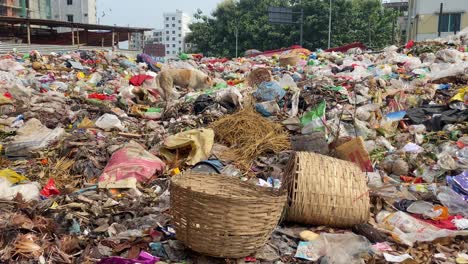 Street-side-municipal-waste-landfill