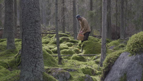 Nordischer-Erwachsener-Mann,-Der-Pilze-Im-Moosbedeckten-Wald-Pflückt