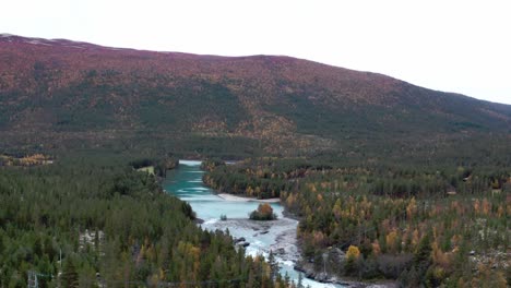 Fluss-Durch-Pinien-In-Dovrefjell,-Norwegen-Mit-Berg-In-Herbstfarben-Bedeckt