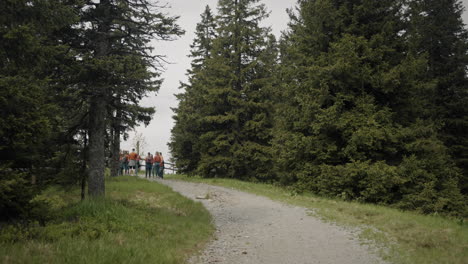Camera-tracking-a-group-of-young-scouts-talking-in-the-middle-of-a-macadam-road-near-a-spruce-forest-and-a-wooden-fence