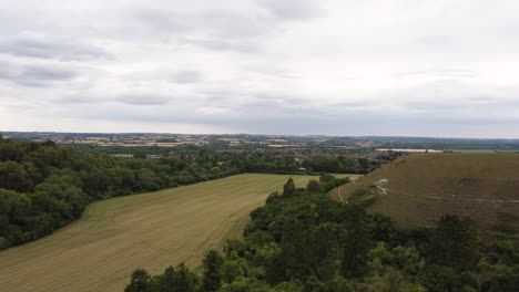 Antenne-Hoch-Enthüllt-Riesiges-Grünes-Feld,-Das-Gerade-In-Hitchin,-Hertfordshire,-England,-Großbritannien,-Geschnitten-Wurde