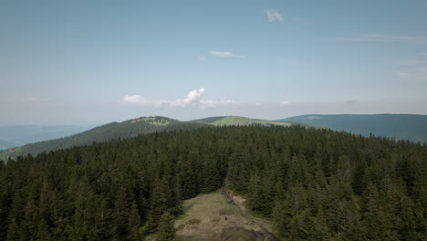 Dolly-drone-shot-of-the-spruce-forest-and-nearby-mountains,-young-souts-walking-out-of-the-forest-on-the-clearing