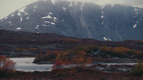 Herbstlandschaft-In-Dovrefjell,-Norwegen-Mit-Schneebedeckten-Schroffen-Bergen-Im-Hintergrund
