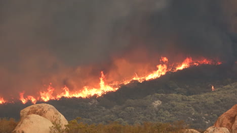 Wald-Brennen-Wildfire-Fairview-Feuer-Kalifornien-Grün-Rot-Orange-Rauch-Flammen