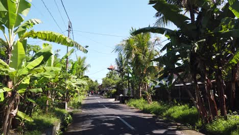 Balinese-Village,-Establishing-Shot-Street,-with-Palm-Banana-Coconut-Trees-Green-And-Blue-Sunny-Clear-Sky-in-the-Morning,-Bali,-Indonesia,-Gianyar,-60-FPS