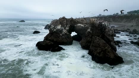 Aerial-view-of-Arched-Rock-as-Sea-Birds-fly-and-land-on-rock,-Sonoma-County-Bodega-Bay-California