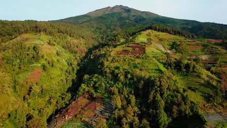 slope-of-mount-Sumbing-with-valley,-plantation-and-jungle