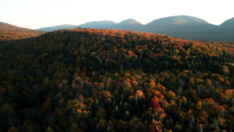 Beautiful-fall-colors-on-display-in-treetops-of-mountainous-forest,-Catskills