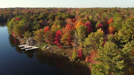 Aerial-drone-shot-descending-down-along-the-bank-of-a-river-surrounded-by-the-beautiful-autumn-colors-as-the-trees-of-the-forest-change-during-the-fall-season,-Canada