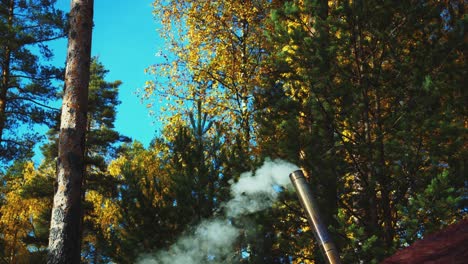 Amber-autumn-leaves-behind-small-camp-chimney-smoking-in-sunny-forest