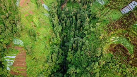 Drohnenvideo-Des-Tals-Am-Hang-Des-Berges-Mit-Verstecktem-Wasserfall---Vegetation-Tropischer-Ländlicher-Landschaft