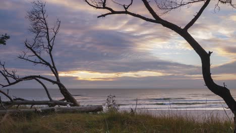 Wunderschöner-Zeitraffer-Lebendiger,-Sich-Schnell-Bewegender-Wolken-über-Der-Ostseeküste,-Abend-Vor-Sonnenuntergang,-Naturlandschaft-In-Bewegung,-Weißer-Sandstrand,-Bäume-Im-Vordergrund,-Weitwinkelaufnahme