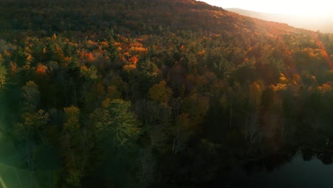 Sunset-sun-flare-as-drone-flies-over-The-Catskills-with-forest-canopy-in-fall-foliage---beautiful-orange-treetop-colors-of-Appalachian-Mountains