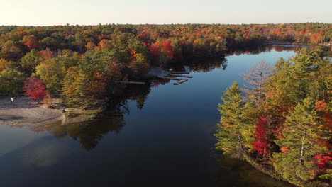 Aerial-view-orbiting-tranquil-woodland-colourful-seasonal-autumn-treetop-foliage