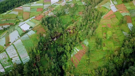 terraced-vegetable-plantation-on-the-slope-mountain