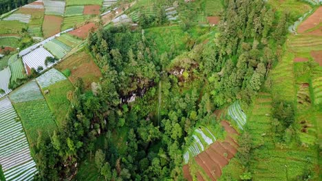 Aerial-top-down-shot-of-hidden-waterfall-flowing-into-valley-surrounded-by-agricultural-plantation-fields-on-mount-sumbing,-Indonesia