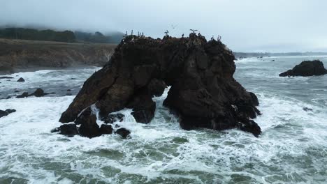 Slow-Motion-of-waves-crashing-on-Arched-Rock-as-sea-birds-land,-Sonoma-County-Bodega-Bay,-California