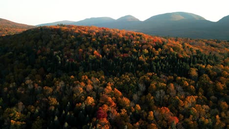 Aerial-reveal-of-Catskill-Mountains-with-treetops-of-forest-in-brilliant-fall-colors---vast-orange-carpet-indicates-changing-of-seasons