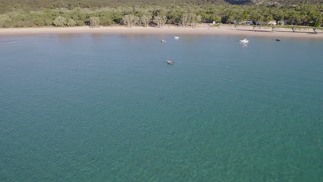 Dugongo-Nadando-En-El-Océano-En-La-Isla-Great-Keppel,-Australia