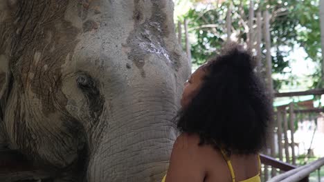 Bella-Chica-Abrazándose-Con-Un-Elefante-En-Un-Santuario