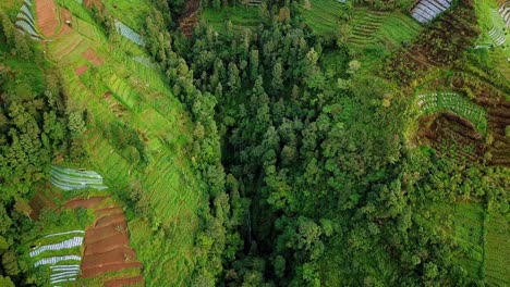 Drone-shot-of-tropical-landscape-on-the-slope-of-mountain-with-valley-and-hidden-waterfall---Forest-looks-damaged-due-to-land-clearing-for-agriculture