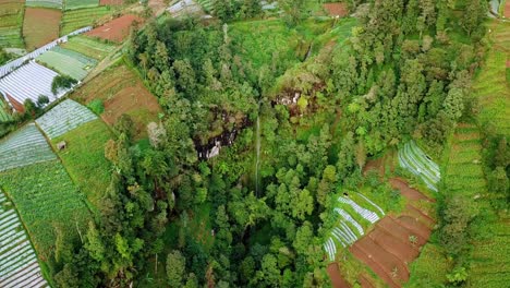 Drone-shot-of-mountain-cliff-with-waterfall-that-surrounded-by-trees-and-plantation