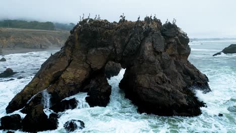 Birds-perched-on-Arched-Rock-as-waves-crash-in-slow-motion,-Sonoma-County-Bodega-Bay,-High-Way-1,-California