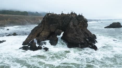 Slow-Motion-of-waves-crashing-on-Arched-Rock-as-sea-birds-land,-Sonoma-County-Bodega-Bay-along-Pacific-Highway-1-Coast,-California